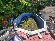 Pool liner changes - Photo 3
