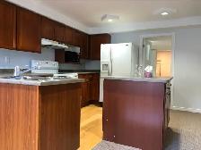 Well maintained 2 bed room Walkout basement apartment - Photo 2