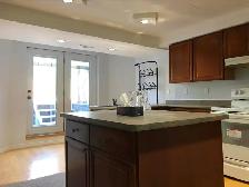 Well maintained 2 bed room Walkout basement apartment - Photo 3