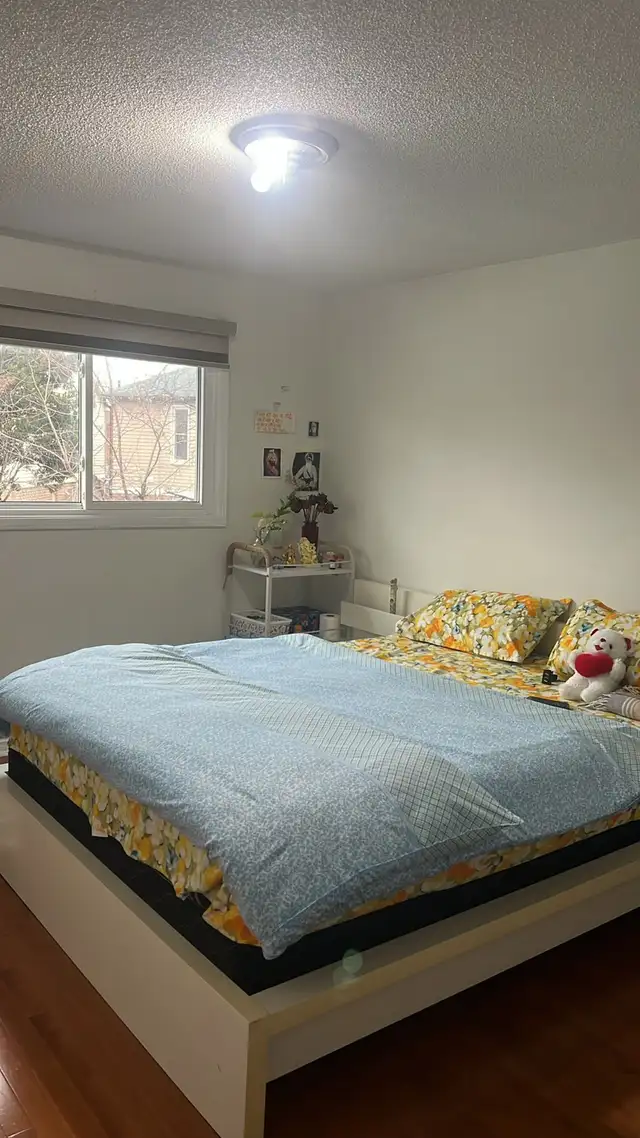 Sharing room available