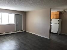 2 Bdrm Apartment in Arcola East - Photo 4