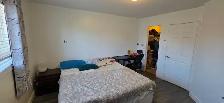 4 bed 2.5 bath House for lease - Photo 9