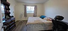 4 bed 2.5 bath House for lease - Photo 10