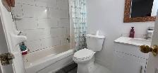 4 bed 2.5 bath House for lease - Photo 15