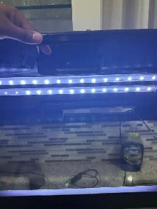 Top Fin 20 Gallon Aquarium with LED Light - Photo 4