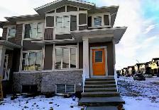 New Legal Secondary Suite for Rent in Cornerstone NE, Calgary