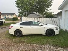 2009 Nissan Maxima For Sale - Photo 5