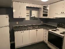 One bedroom Basement Aprtment in Aurora! - Photo 3