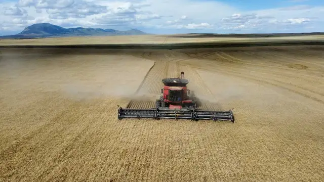 farm workers needed
