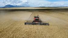 farm workers needed
