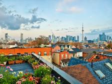✨ Brand New Rooms for Rent – Downtown Toronto - Photo 6