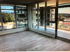 September 1st- ONE BEDROOM near Brentwood and SFU - Photo 4