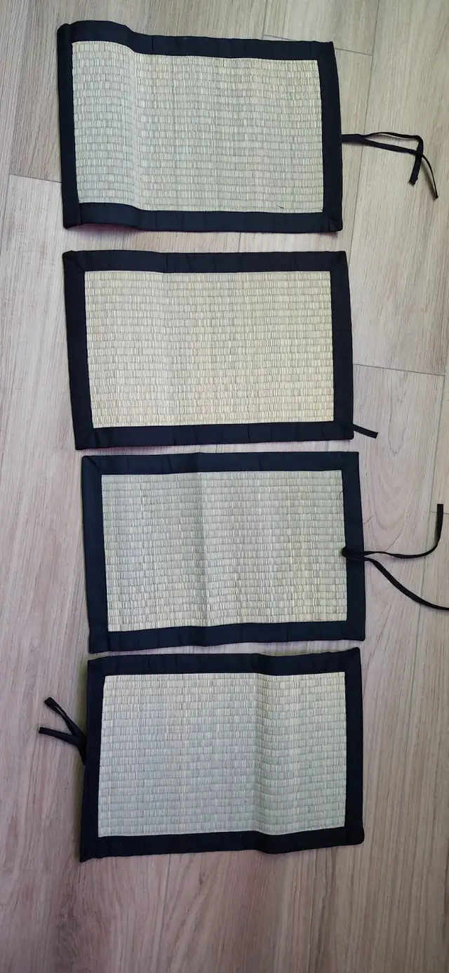 Brand NEW Place mats for sale!