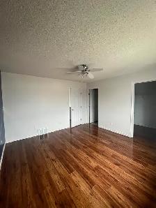 Beautiful Home in Miller! - Photo 4