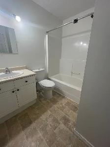 Beautiful Home in Miller! - Photo 5