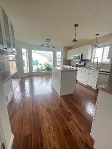 Beautiful Home in Miller! - Photo 17