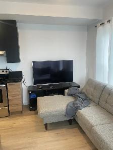 Superbe 3 1/2,Centre-Ville Construction neuve Libre MOISGRATUIT - Photo 10