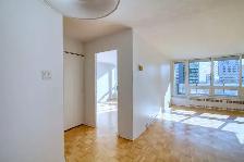 one-bedroom apartment near Guy-Concordia - ID 1388