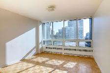 one-bedroom apartment near Guy-Concordia - ID 1388 - Photo 2