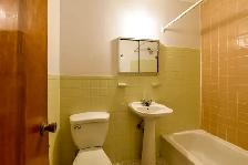 1 bed apartment near UDEM on Van Horne & CDN - ID 4627 - Photo 3
