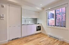 Newly renovated studio near UDEM - ID 2858