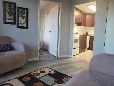 1160 Merivale, #404: 1 Bedroom Apartment (Carlington, Ottawa) - Photo 6