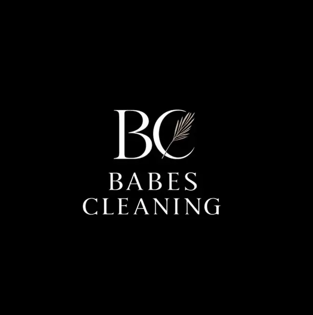 Babes Cleaning