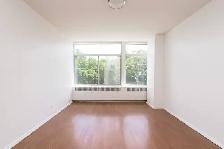 renovated one bedroom, Oriole and Oxton - ID 481 - Photo 4