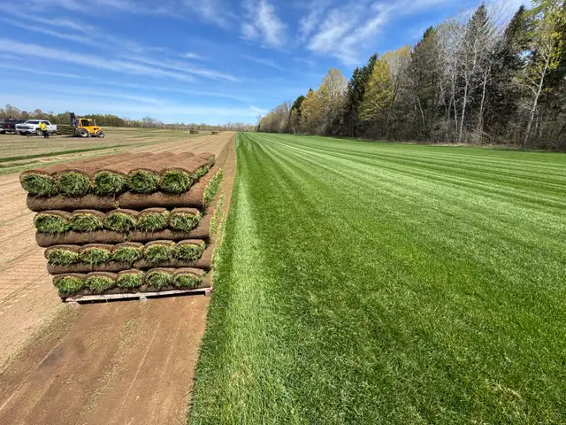Farm Fresh Sod