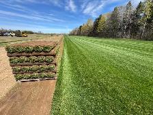 Farm Fresh Sod
