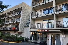 Dolphin Square Apartments - 1 Bedroom available at 8200 Park Roa - Photo 3