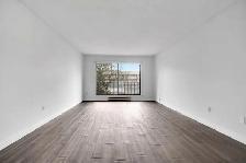 Dolphin Square Apartments - 1 Bedroom available at 8200 Park Roa - Photo 4