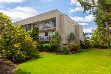 Dolphin Square Apartments - 1 Bedroom available at 8200 Park Roa - Photo 10