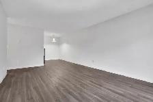 Dolphin Square Apartments - 1 Bedroom available at 8200 Park Roa - Photo 12