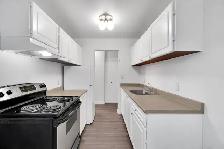 Dolphin Square Apartments - 1 Bedroom available at 8200 Park Roa - Photo 13