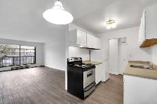 Dolphin Square Apartments - 1 Bedroom available at 8200 Park Roa - Photo 14