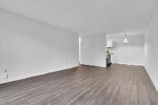 Dolphin Square Apartments - 1 Bedroom available at 8200 Park Roa - Photo 15