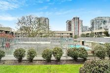 Dolphin Square Apartments - 1 Bedroom available at 8200 Park Roa - Photo 16