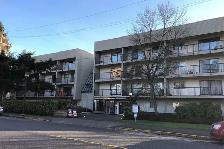 Dolphin Square Apartments - 1 Bedroom available at 8200 Park Roa - Photo 18