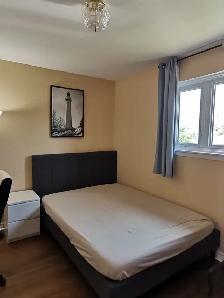 North York near YorkUniversity sunny single room rent to female - Photo 7