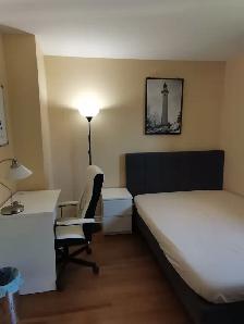 North York near YorkUniversity sunny single room rent to female - Photo 8