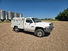 2001 Dodge Ram 2500 - Photo 2