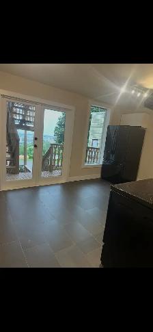 2 Bedroom unit-Newly renovated available August 1st - Photo 2