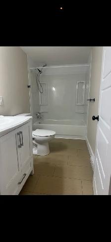 2 Bedroom unit-Newly renovated available August 1st - Photo 3