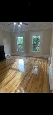 2 Bedroom unit-Newly renovated available August 1st - Photo 4