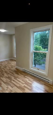 2 Bedroom unit-Newly renovated available August 1st - Photo 7