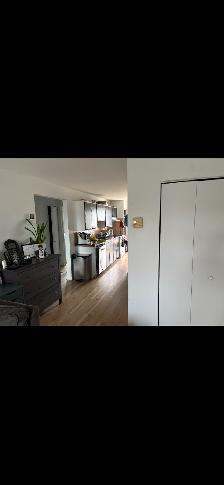 Appartement 4 et demi à louer Sainte-Rose Laval - Photo 3