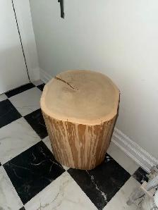 Unique Tree Trunk Table - Photo 3