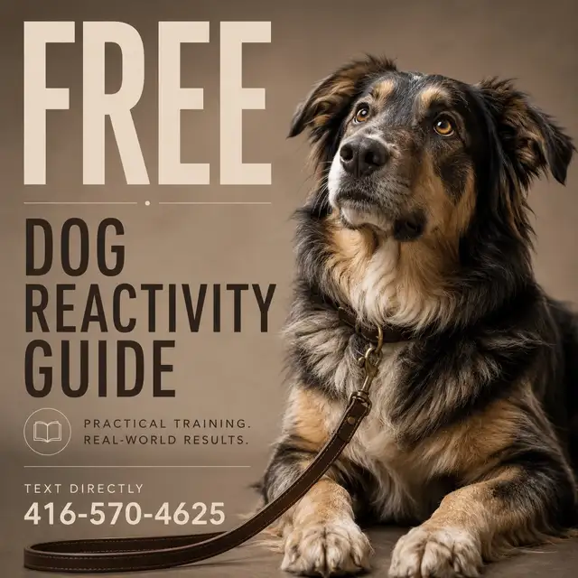 FREE GUIDE: Most Reactive Dog Owners Make These Mistakes
