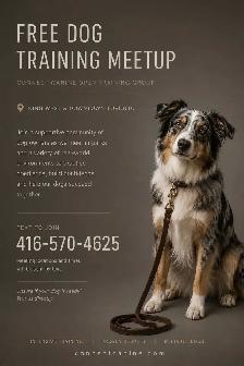 FREE GUIDE: Most Reactive Dog Owners Make These Mistakes - Photo 2